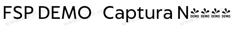 FSP DEMO   Captura N字体转换